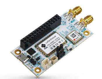 RAK Wireless 415001