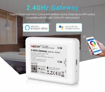 Synergy 21 WL-Box1