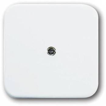 Busch Jaeger 2CKA001724A0921