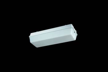 Schuch 131120031