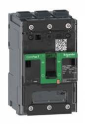 Schneider Electric C113100LS