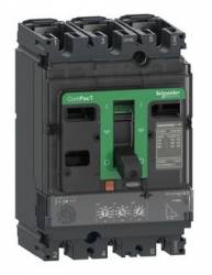 Schneider Electric C16B32D100