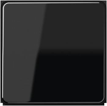 JUNG CD101SW