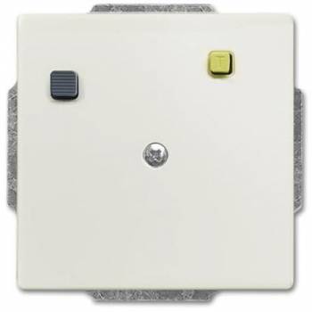 Busch Jaeger 2CKA003117A0005