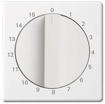 Busch Jaeger 2CKA001753A0258