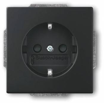 Busch Jaeger 2CKA002013A5454