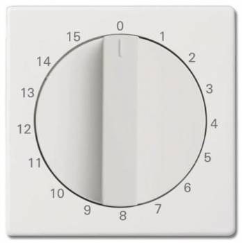 Busch Jaeger 2CKA001753A0260
