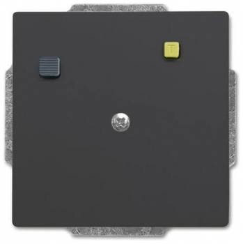 Busch Jaeger 2CKA003117A0009