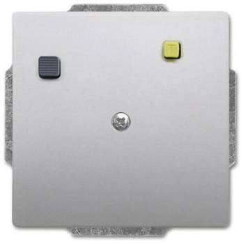 Busch Jaeger 2CKA003117A0011