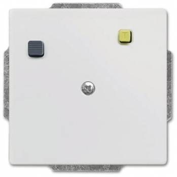 Busch Jaeger 2CKA003117A0012