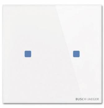 Busch Jaeger 2CKA006300A1560