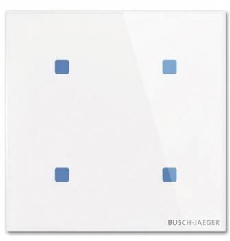 Busch Jaeger 2CKA006300A1613