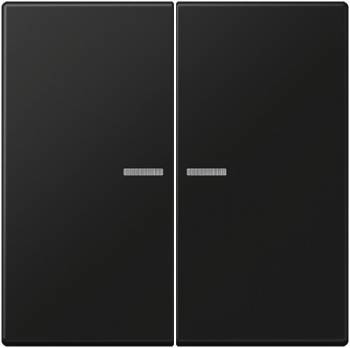 JUNG LS102KO5SWM