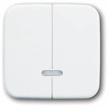 Busch Jaeger 2CKA006599A2889