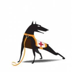 Ruckus Wireless 905-PRO1-CPWG-ED2