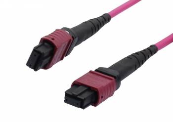 Synergy 21 S216791