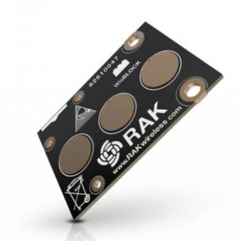 RAK Wireless 100028
