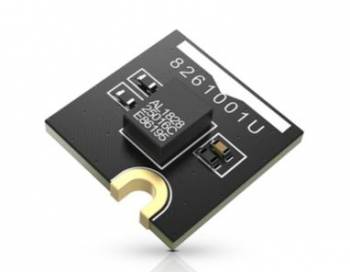 RAK Wireless 100022