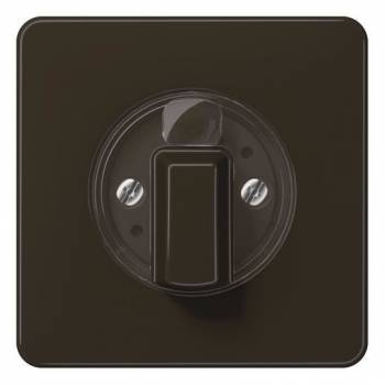 Jung CD1541BR