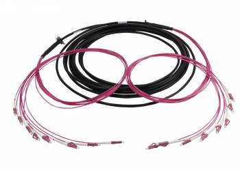 Synergy 21 S217073