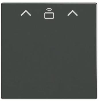 Busch Jaeger 2CKA001710A4130