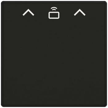 Busch Jaeger 2CKA001710A4131