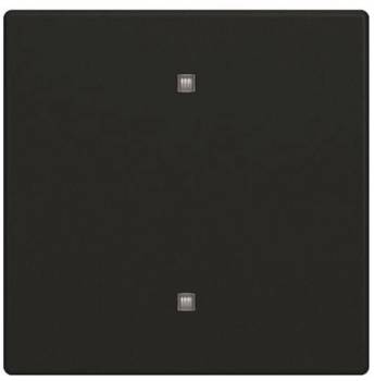 Busch Jaeger 2CKA001751A3262