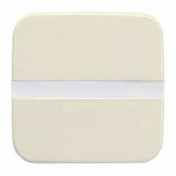 Busch Jaeger 2CKA006800A2877