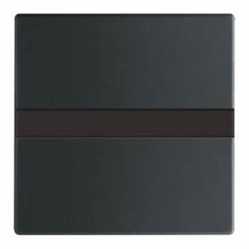 Busch Jaeger 2CKA006800A2894