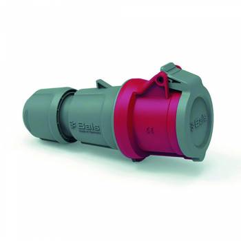 BALS 301
