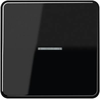 JUNG CD10911STRFSW