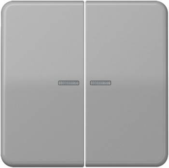 JUNG CD10921STRFGR