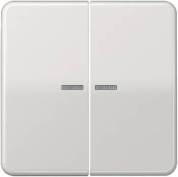 JUNG CD10921STRFLG