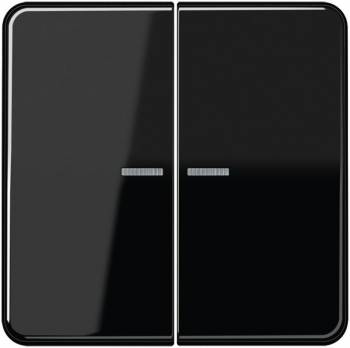 JUNG CD10921STRFSW