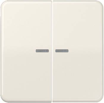 JUNG CD10921STRF