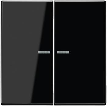 JUNG LS10921STRFSW