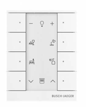Busch Jaeger 2CKA006220A0886