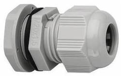 Lichtline 478184200034