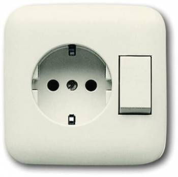 Busch Jaeger 2CKA001611A0102
