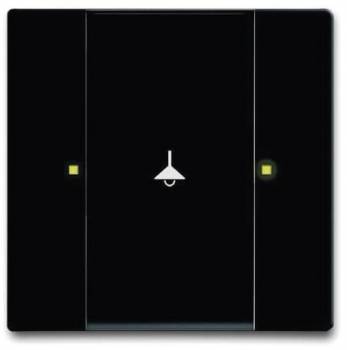 Busch Jaeger 2CKA006115A0204
