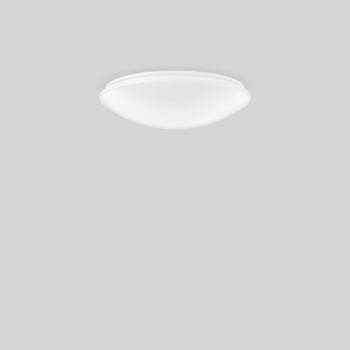 RZB 311945.002.1.191