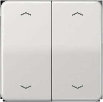 JUNG CD102PLG