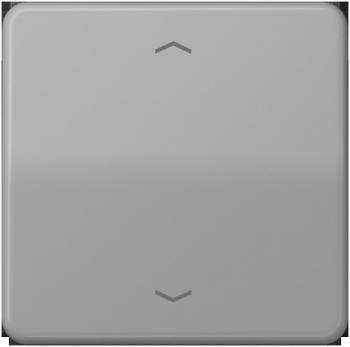 JUNG CD101PGR