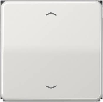 JUNG CD101PLG