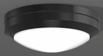 RZB 582002.0031.1.19