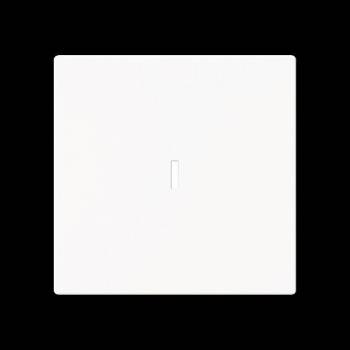 Busch Jaeger 2CKA001751A3362