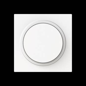 Busch Jaeger 2CKA006599A3053