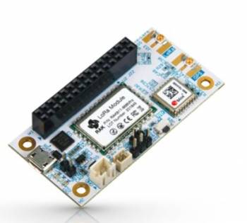 RAK Wireless 115034