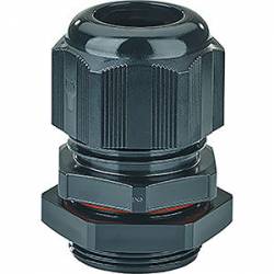 Gustav Hensel 36001086