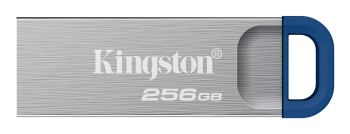 Kingston DTKNG2/256GB